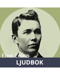Kauneimpia runoja, osa 17 Auringonsäteiden laulu , Ljudbok