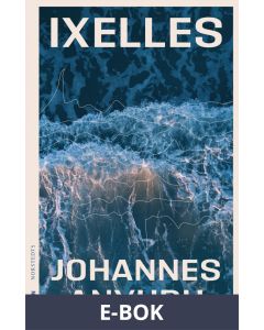 Ixelles : roman, E-bok