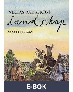 Landskap : Noveller, E-bok