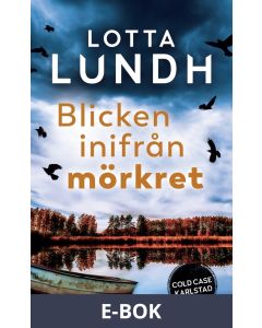 Blicken inifrån mörkret, E-bok