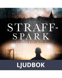 Straffspark, Ljudbok