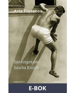 Sanningen om Sascha Knisch, E-bok