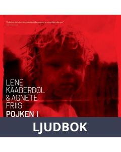 Pojken i resväskan, Ljudbok