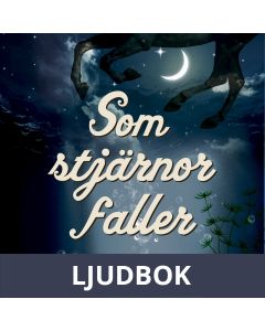 Som stjärnor faller, Ljudbok