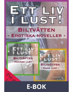 Biltvätten - erotiska noveller, E-bok