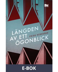 Längden av ett ögonblick, E-bok