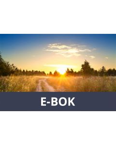Aldrig för sent, alltid rätt, E-bok