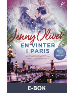 En vinter i Paris, E-bok