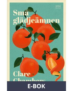 Små glädjeämnen, E-bok