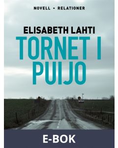 Tornet i Puijo, E-bok