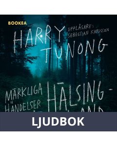 Märkliga händelser från Hälsingland, Ljudbok
