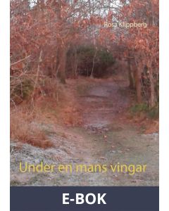 Under en mans vingar: En biografi om kontroll och narcissism, E-bok