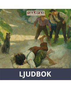Die Abenteuer Tom Sayers, Ljudbok