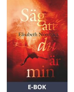 Säg att du är min, E-bok