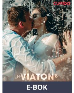 Viaton rantareissu, E-bok