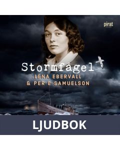 Stormfågel, Ljudbok