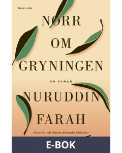 Norr om gryningen, E-bok