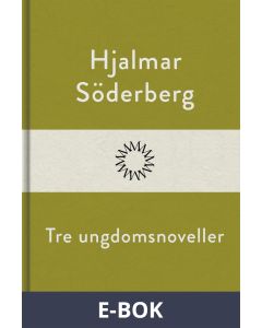 Tre ungdomsnoveller, E-bok