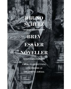 Brev, essäer, noveller