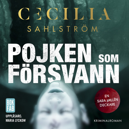 Pojken Som Försvann
