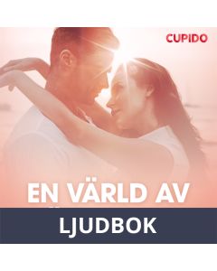 En värld av möjligheter - erotiska noveller, Ljudbok