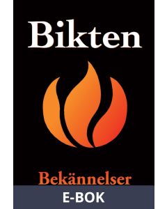 Bikten : bekännelser från vanliga människor (Epub2), E-bok