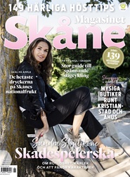 Tidningen Magasinet Skåne 3 nummer