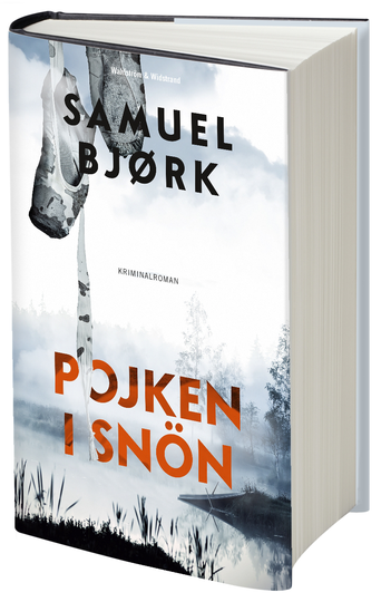 Pojken I Snön