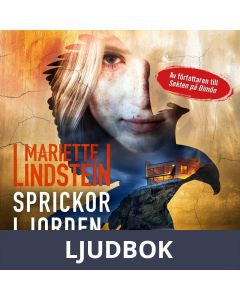 Sprickor i jorden, Ljudbok