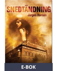 Snedtändning - Brottsplats Malmö, E-bok