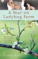 A Year on Ladybug Farm