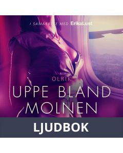 Uppe bland molnen - erotisk novell, Ljudbok