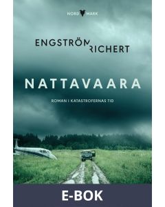 Nattavaara, E-bok