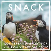SNACK : Konversationskort för dig som gillar att prata (Epub2)