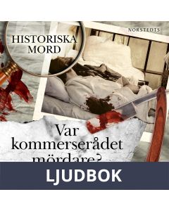 Var kommerserådet mördare?: Carl Martin Lundgren : Historiska mord del 8, Ljudbok