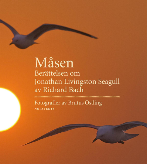 Måsen - Berättelsen Om Jonathan Livingston Seagull