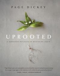 Uprooted: A Gardener Reflects on Beginning Again