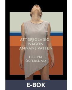 Att spegla sig i någon annans vatten, E-bok