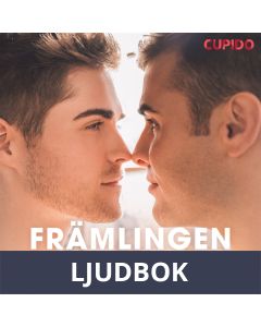 Främlingen på bussen, Ljudbok