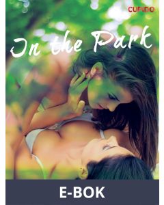 In the Park, E-bok