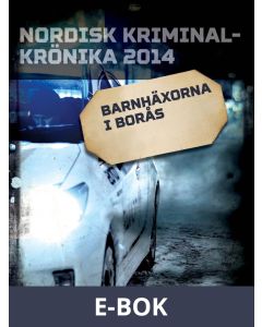 Barnhäxorna i Borås, E-bok