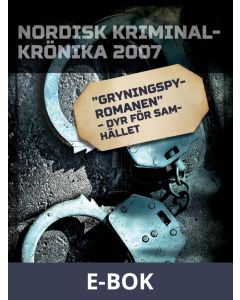 Gryningspyromanen - dyr för samhället, E-bok