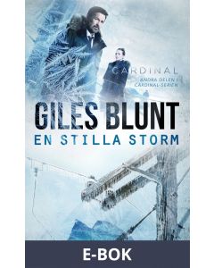 En stilla storm, E-bok