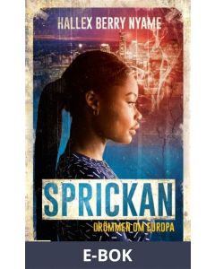 Sprickan : drömmen om Europa, E-bok