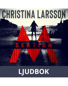 Sektion M III, Ljudbok