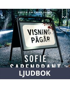 Visning pågår, Ljudbok