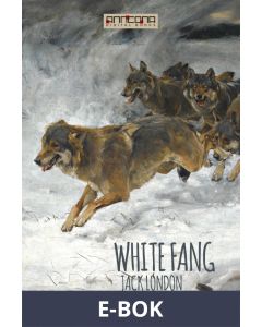 White Fang, E-bok