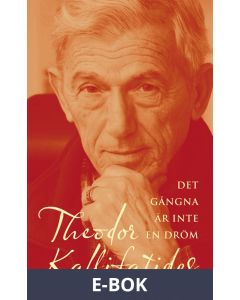 Det gångna är inte en dröm : en självbiografisk roman, E-bok