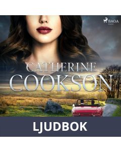 Yötaivas ja sarastus, Ljudbok