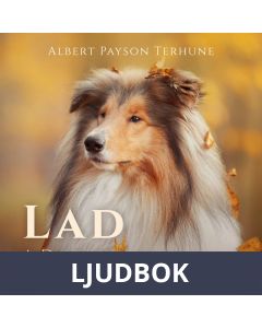 Lad: A Dog, Ljudbok